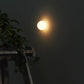 Vevinir Alabaster Globe Wall Light