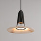 Zothayra Conical Metal Pendant Light