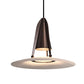 Zothayra Conical Metal Pendant Light