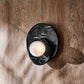 Alorarae Organic Alabaster Wall Light