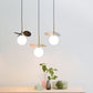 Ivphaus Glass Pendant Light