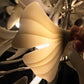 Olivia Ceramic Gingko Leaf Chandelier Organic Curves
